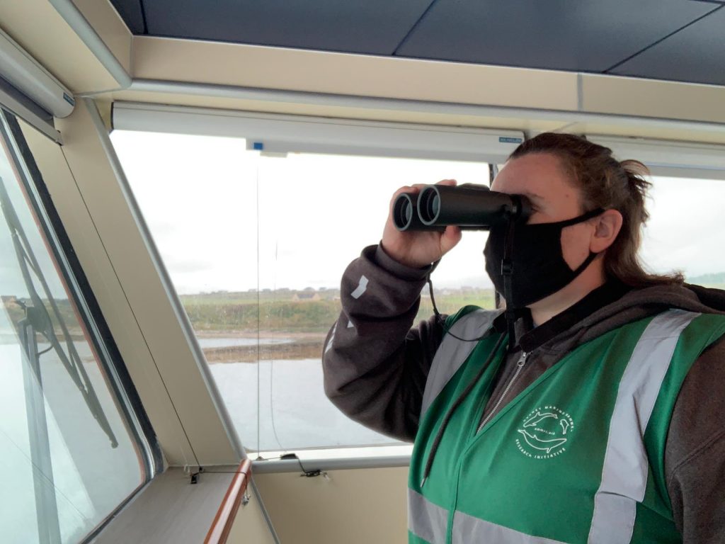 Sea mammal watching from bridge of MV Alfred